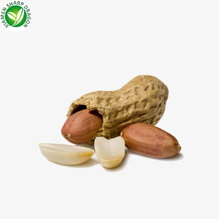 Frozen Boiled Peanuts Grade A Frozen boiled peanuts two-kernel pods Grade A