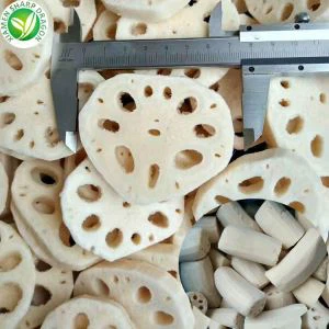 Lotus root-segmenten
