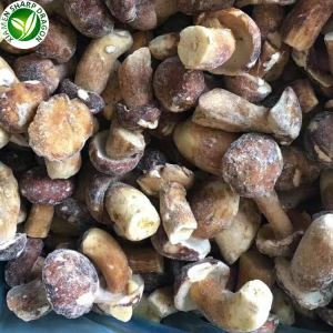 Bevroren Gesneden Boletus Paddestoelen