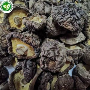 Umami Rijke Gedroogde Shiitake Paddestoelen