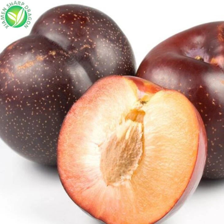 Koop Frozen Plums