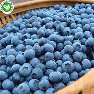 Frozen Blueberry laatste prijs