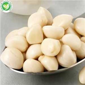 Knoflook leveranciers