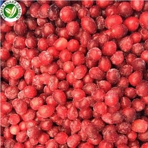 Bevroren cranberry's 2021