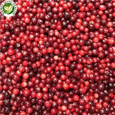 Bulk IQF Frozen Lingonberry Goede kwaliteit