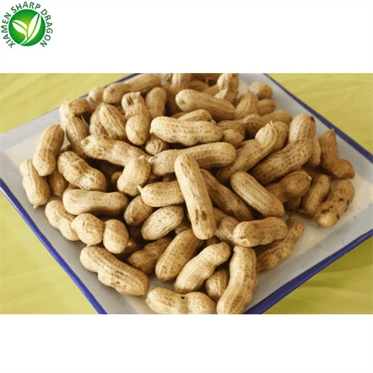 Frozen Boiled Peanuts