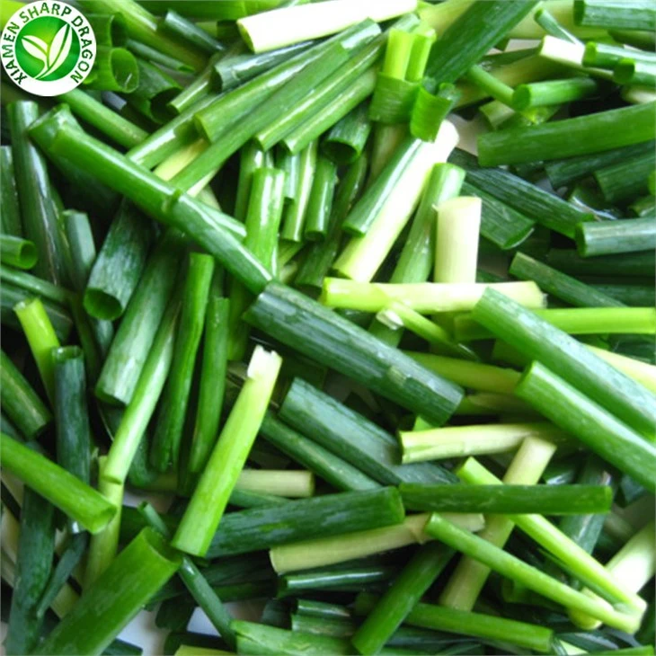 Shallot Onion Suppliers